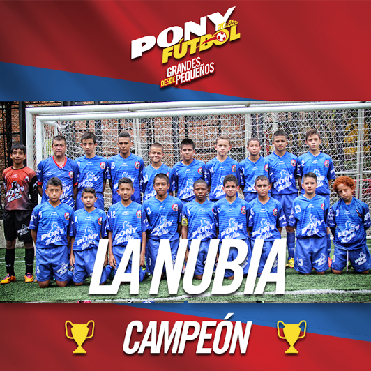juanferquinte10's tweet photo. Felicitaciones a los campeones de la #PonyFútbol 2015! Todos los participantes ya son #GrandesDesdePequeños !!!! http://t.co/hGNmimbNvF