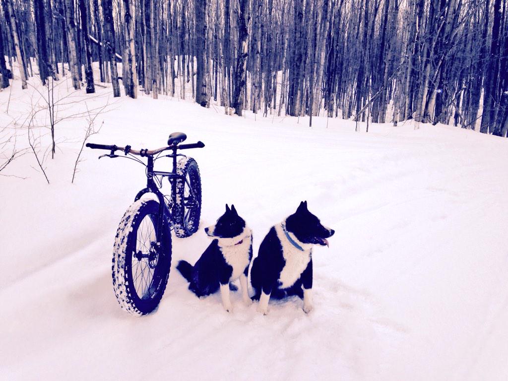 ExplorersTread's tweet image. Fat Ya! We now offer #fatbikes #Tours Enjoy the winter!