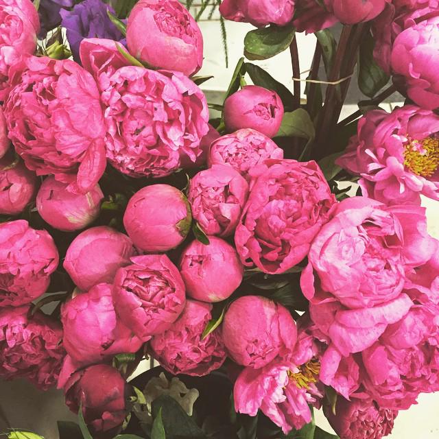 GUESS's tweet image. Getting inspired by these Valentine's Day hues at the LA Flower Market! bit.ly/1D6vOVN