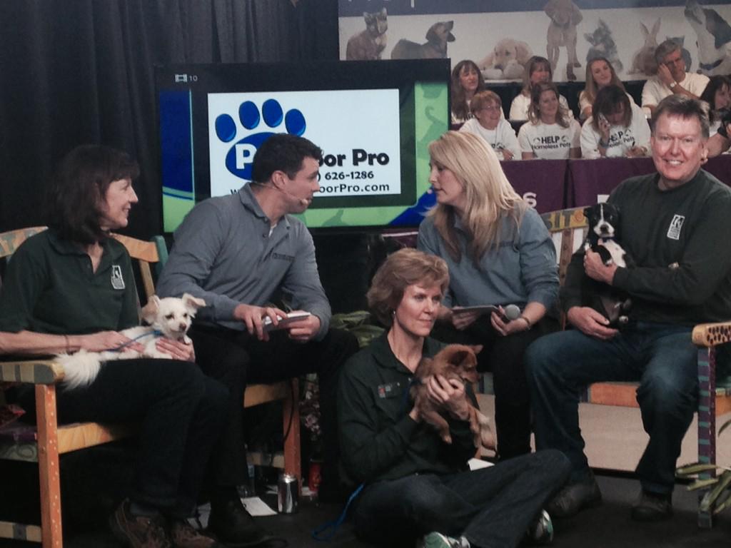 Pet Door Pro (PetDoorPro) Twitter