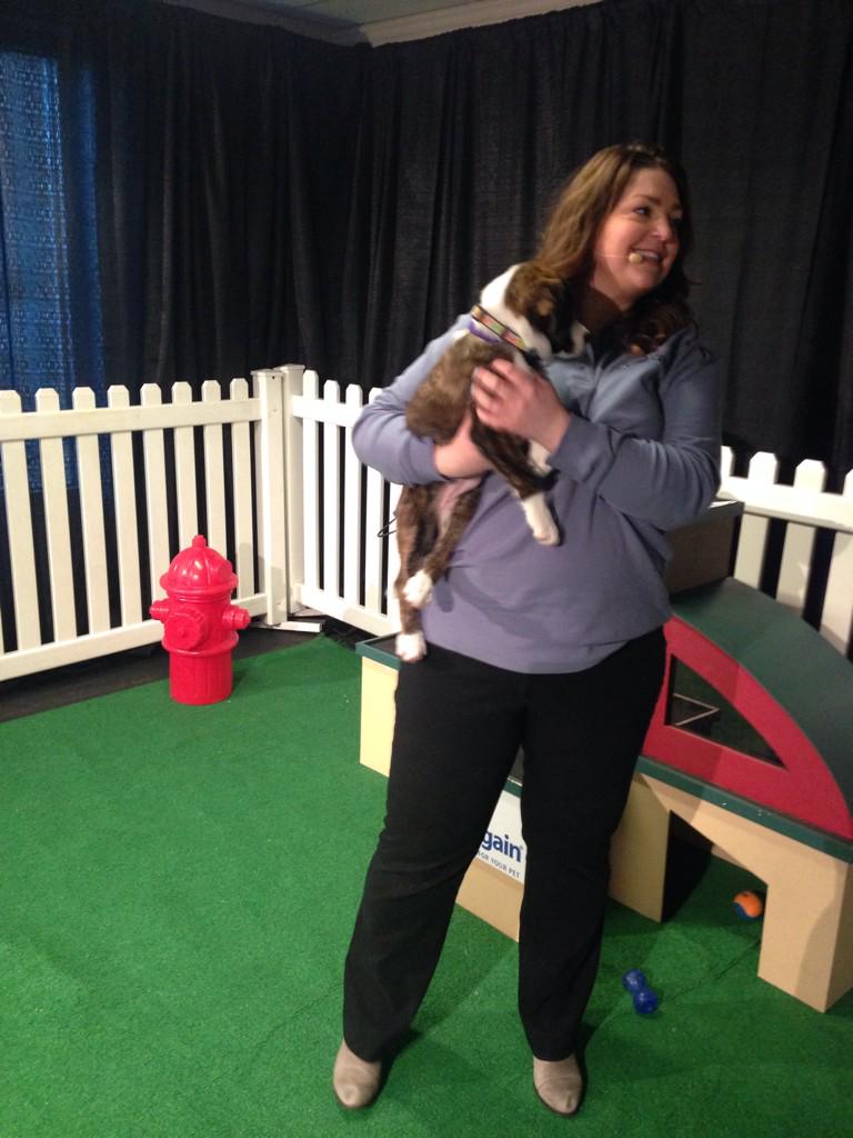 Pet Door Pro (PetDoorPro) Twitter