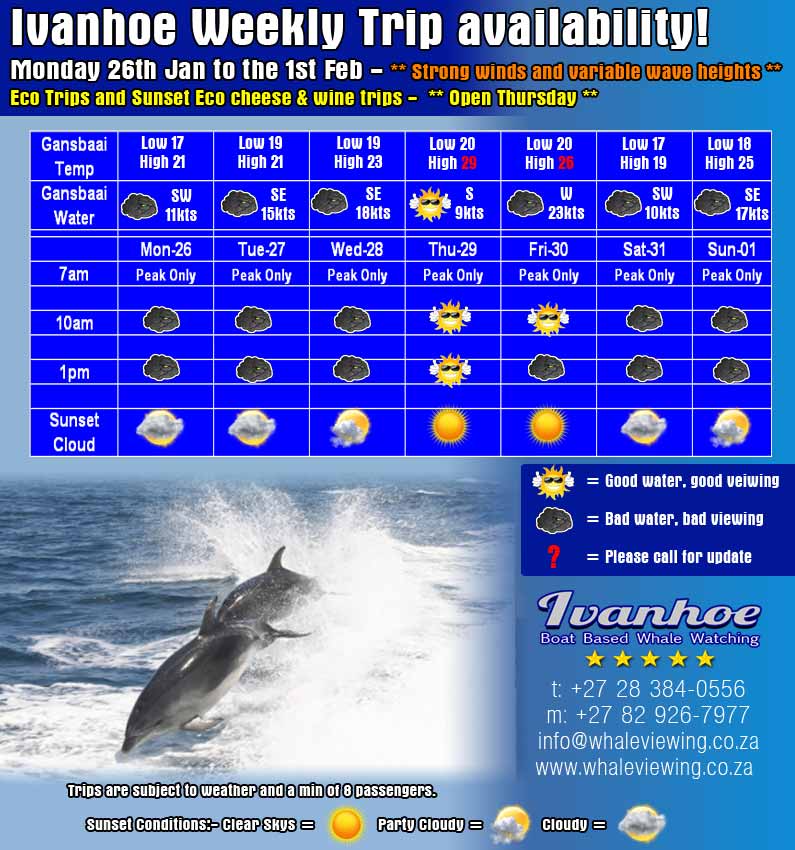 WhaleWatchingSA's tweet photo. Weekly Trip Report http://t.co/5jeEDoDdGh
