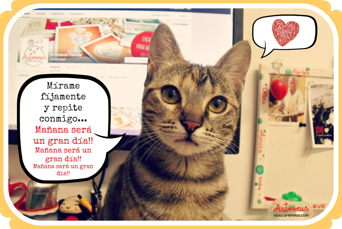 Arteneus's tweet image. Si quieres que los #lunes se tornen en #lunesmaravillosos, sigue el consejo de Norah en Arteneus! jeje Buenas noches!