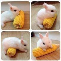 liv_brackett's tweet image. Me after this week #foamroll #onaroll #RolloverData #rolex #SOTU