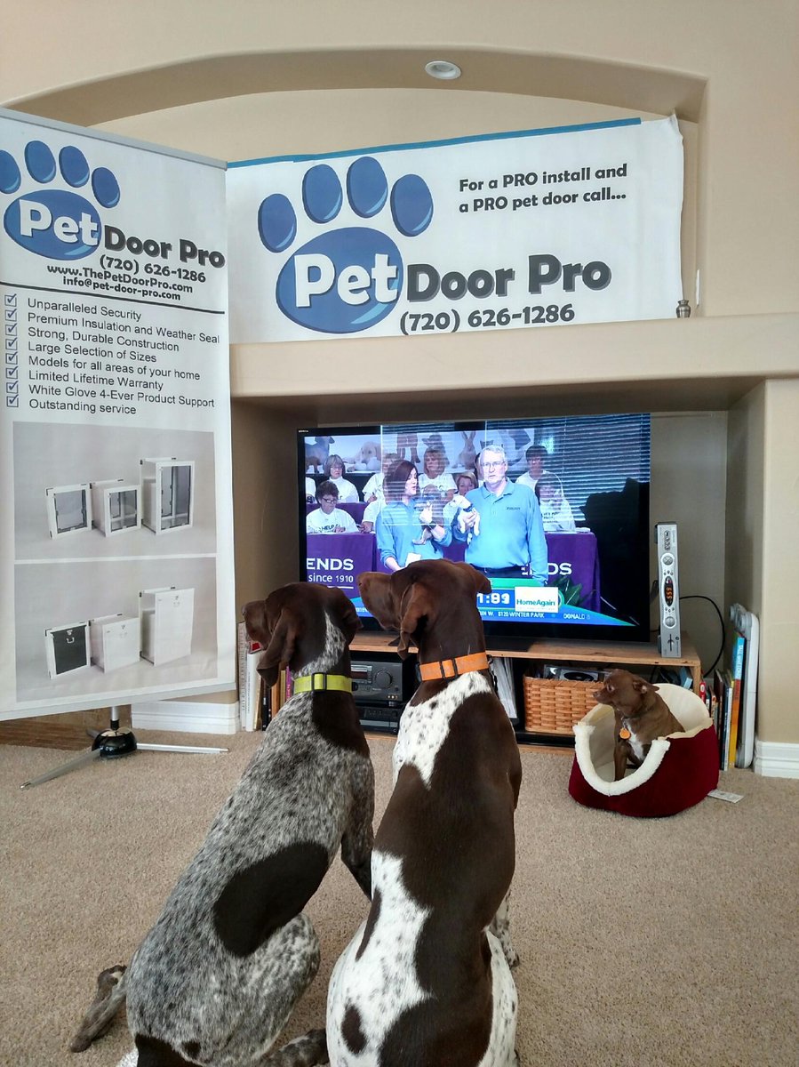 Pet Door Pro (PetDoorPro) Twitter