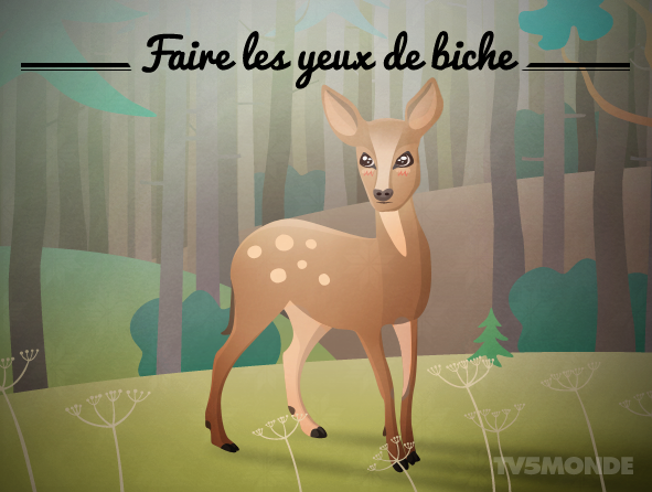 Tv5monde Japon フランス語表現 動物 Faire Les Yeux De Biche 直訳 雌鹿の目つき 意味 甘く悩ましげな眼で見ること Http T Co Ivay9l9snp Twitter
