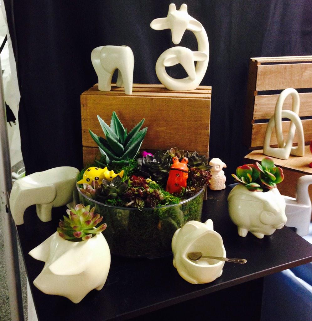 jasondeclares's tweet photo. @GREENOLAstyle @Windy_City_Gift @westelm We're really excited about the Spring line, and the planters are extra fun! http://t.co/FD5exk5PDi