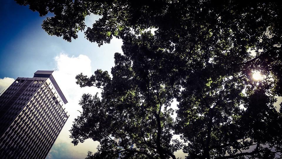 simt_taylor's tweet image. #shanghai #simtaylor #travelphotographyOld shots new vision.( just found time to  edit some of my personal work