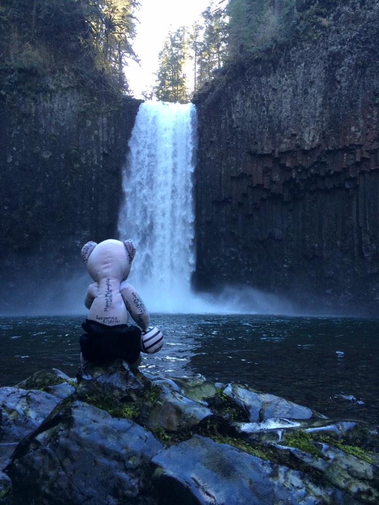 Abiqua Falls, OR #OregonExplored #AdventureBear #PNW