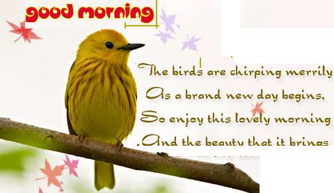 Ganbaatar (@ganbaat10603185) on Twitter photo 