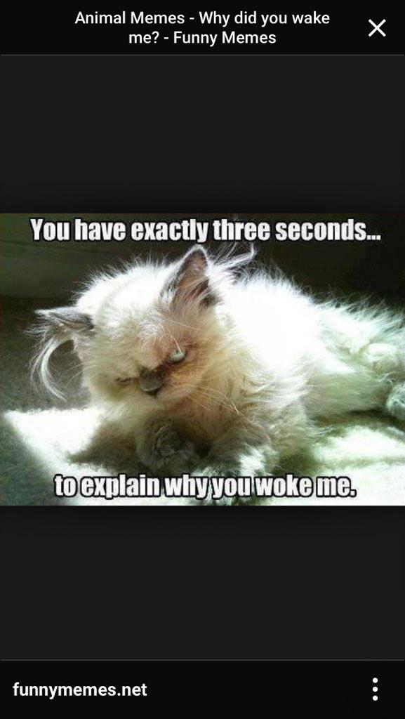 eve_meyerowitz's tweet photo. @xTan_ when someone wakes you up from a nap !! http://t.co/CSIb82fiOg