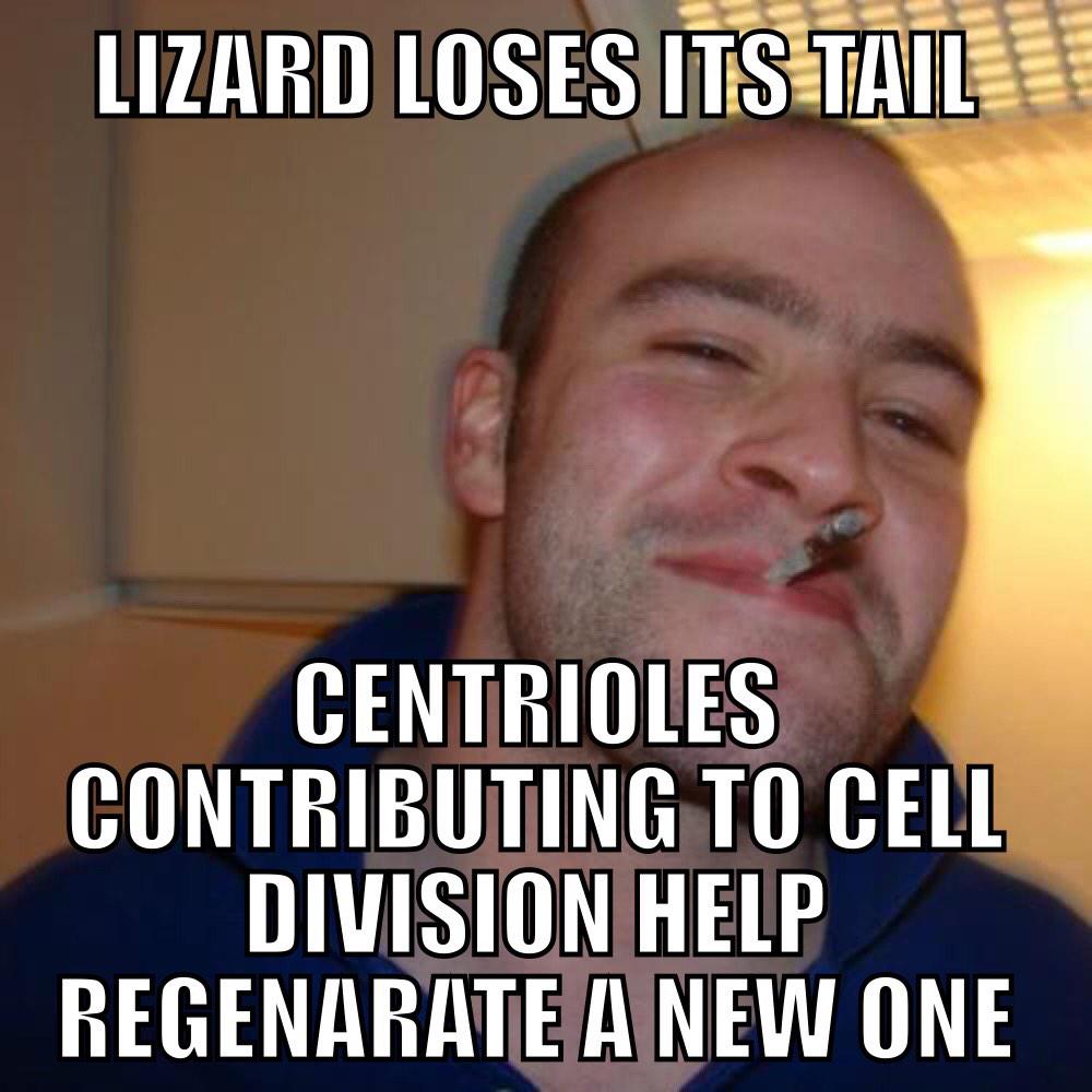 thecentriole's tweet photo. #AHSOIC15 @thebiospace http://t.co/G8FKvGx1ja
