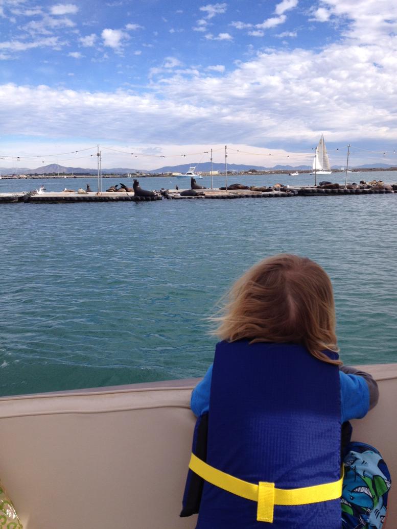 DerekRussellvb's tweet photo. Sailing w Capt Sean Kelley, Duncan &amp; sea lions in San Diego bay http://t.co/z5r0jcEVym