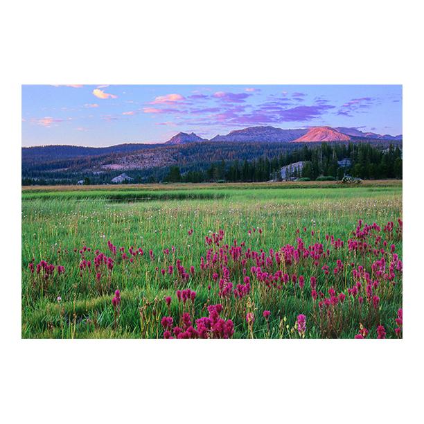 BrianMaslyar's tweet photo. Tuolumne Meadows, Yosemite National Park, CA #yosemite #nationalpark #yosemitenationalpark #sunset #mountains #nature http://t.co/V0Fno5AXUj