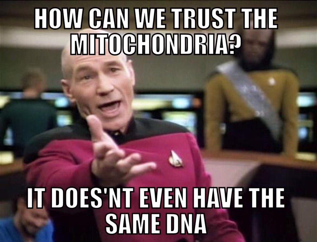 thecentriole's tweet photo. #AHSOIC15 @thebiospace http://t.co/CWPZiKtlQe