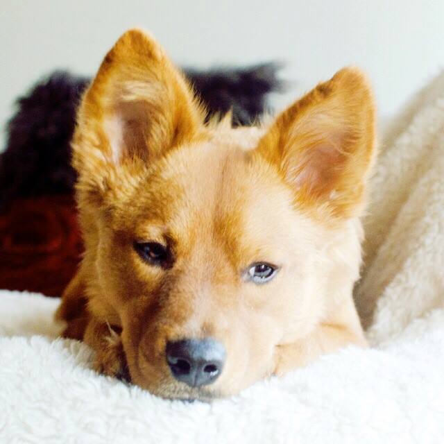 Does tomorrow HAVE to be Monday?

Image via instagram.com/my_name_is_max…