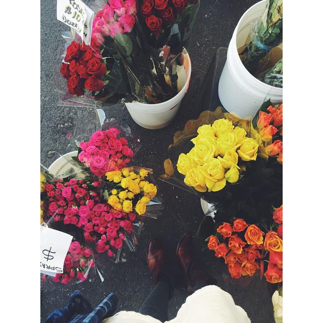 LFMontana's tweet photo. Colorful smells to brighten our day! #happy #sunday #flowerstop #favorites #yummy #montanadays #lfmontanaave http://t.co/Cfa285CsAO
