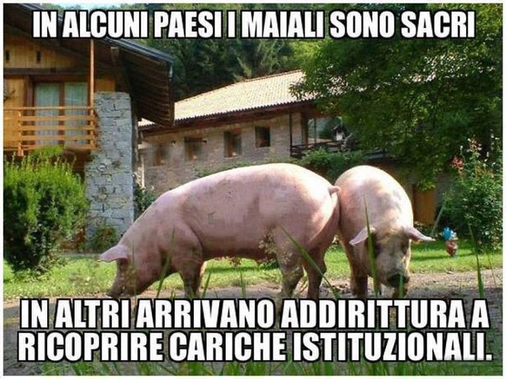 hydrastyle's tweet photo. Siamo rovinati #italiadimerda http://t.co/ojaY5tav58