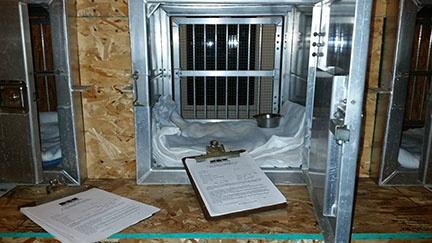 Should animal shelters re-open night drop-off kennels?  animals24-7.org/2015/01/19/sho…