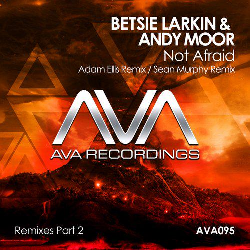 GYLL3R_'s tweet photo. #SARS023

▼7. @betsielarkin &amp; @DJAndyMoor - Not Afraid (@AdamEllisDJ Remix)
 
 ▼http://t.co/N1iDQxgO7J▼🎵 #Team140 http://t.co/8z9FpO2Dr5