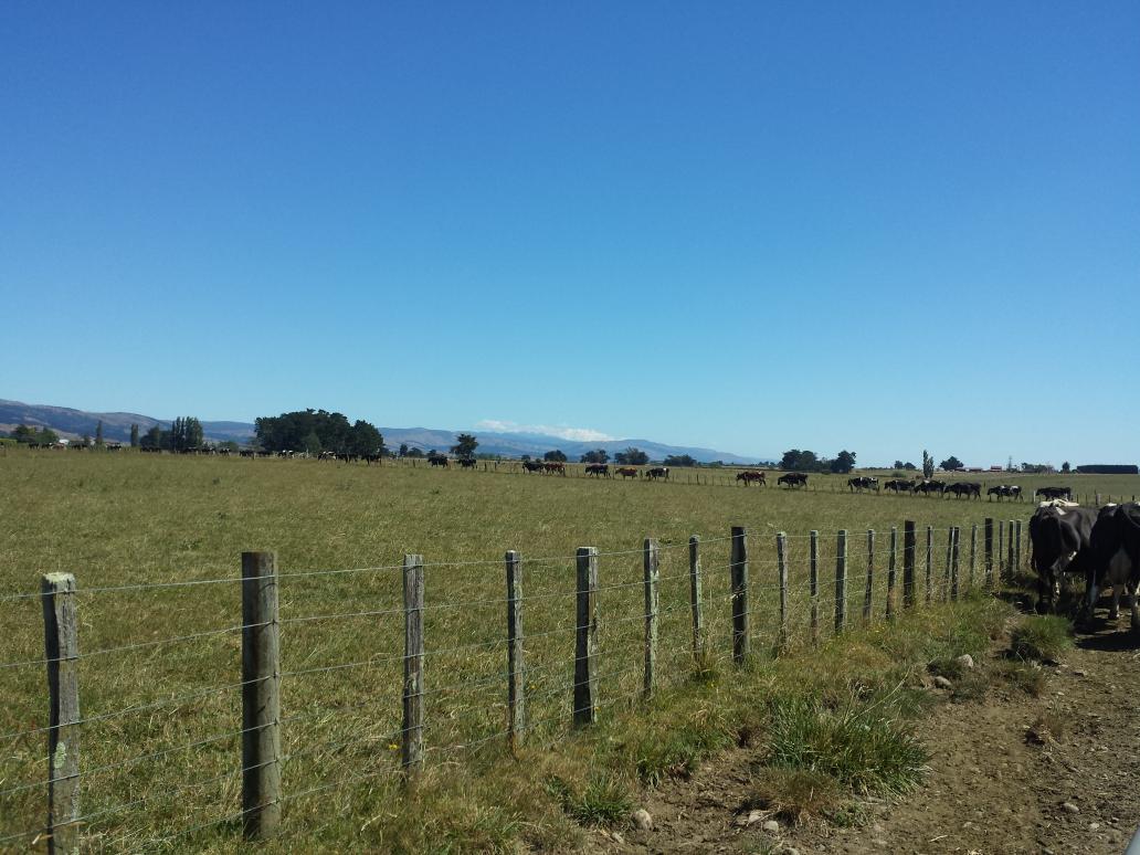 connor_vicki's tweet photo. What is that white thing over the hills @PhilipDuncan @WeatherWatchNZ #ithinkiremember http://t.co/PkNDYjzo6n