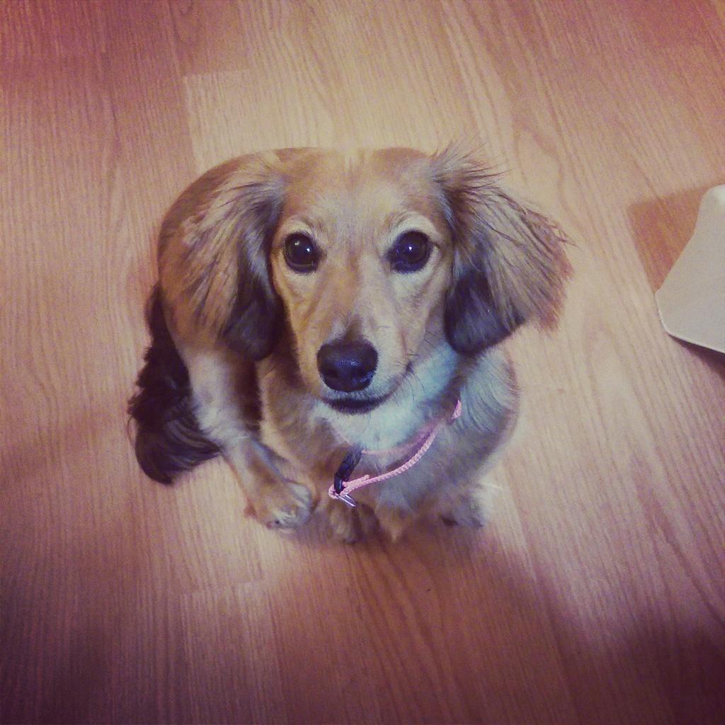 That's Your Reality tweet media