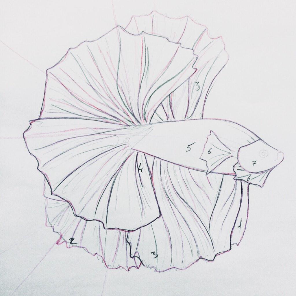 commedesmachine's tweet photo. WANDA!
🌑🐱🐠
#INGURU #3dprinting #3DPrinted #Biodegradable #FashionTech #Sustainable #Technology #Bilbao #StayTuned! http://t.co/9WFKyyunUd