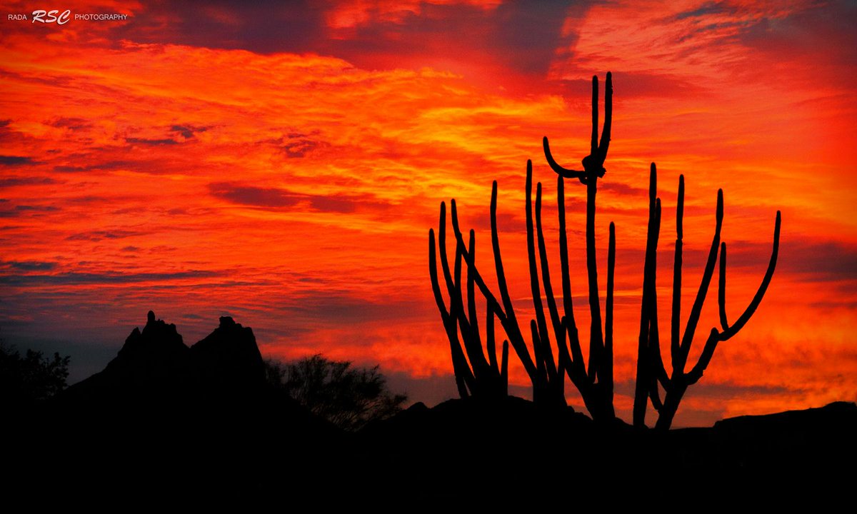webcamsdemexico's tweet photo. ¡Foto espectacular! Atardecer en #SanCarlos #Sonora #Mexico. 25 de enero de 2015. Vía @Rada_SC: http://t.co/FQkkbE40P4