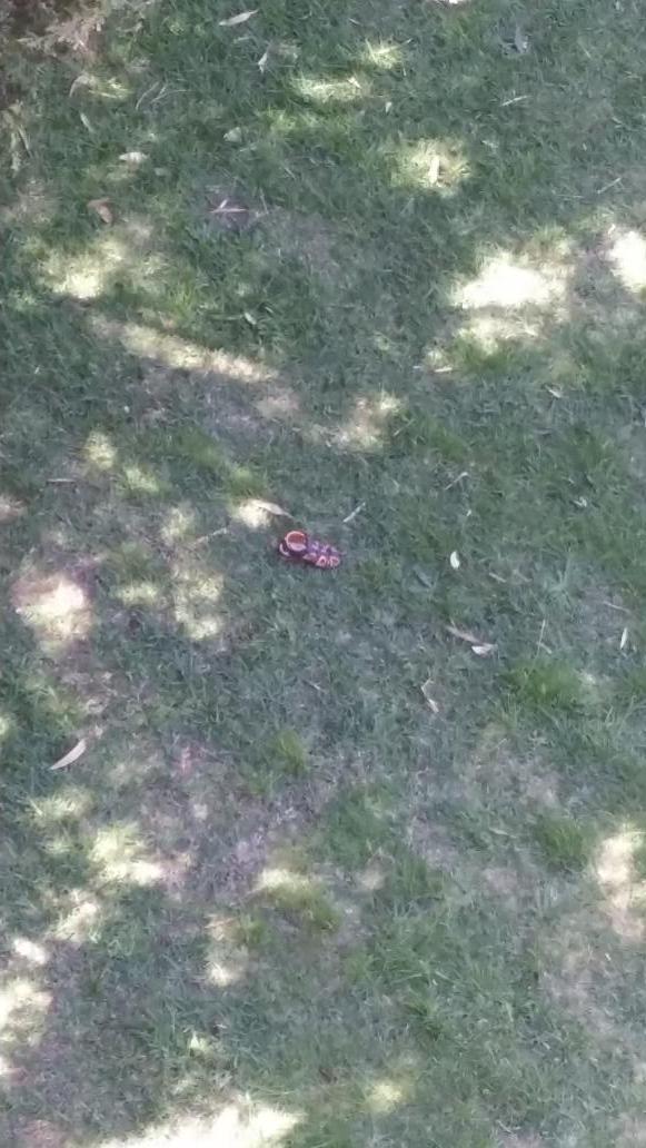 itsgettingeasy's tweet photo. The loneliest sandal. @tson_11  #tyty4taytay http://t.co/kbdxRVXcGq