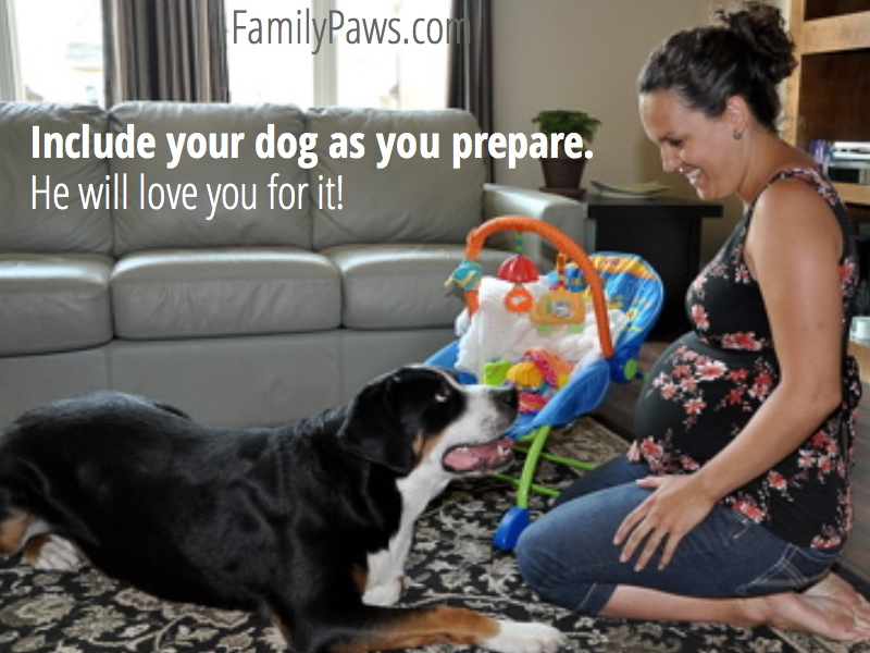 FamilypawsLLC's tweet photo. http://t.co/qfs44q6n02