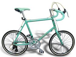 Cantik Harga  Sepeda Bianchi Di  Ace  Hardware  Ginger Snap