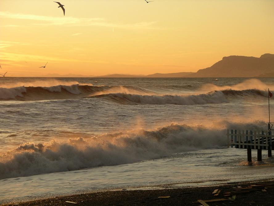 carspina's tweet photo. ...Appari d'incanto...sorridi nel sole mentre colpisci il cuore d'emozioni...#persempretu. http://t.co/E1ygd1dUvK