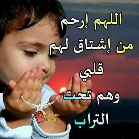 ffrfs's tweet photo. @kk2011mm http://t.co/YoMDAS7Woe
