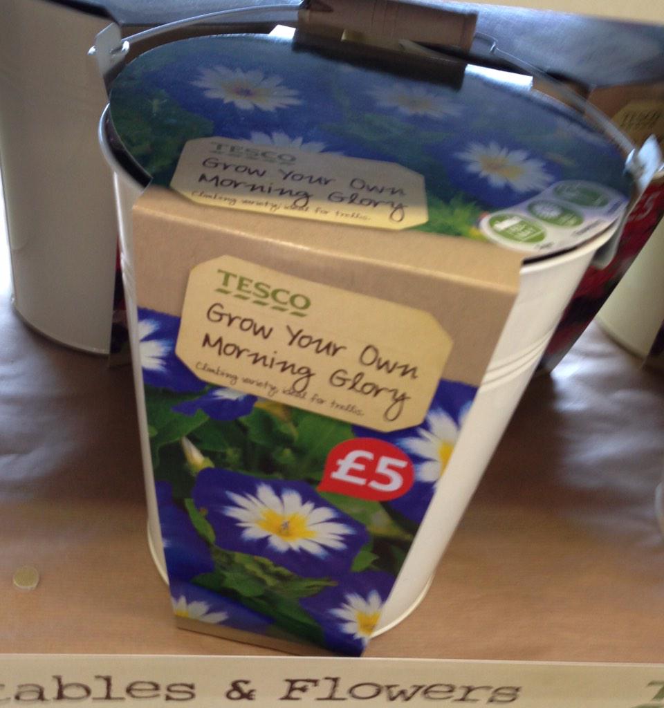 Consternation as <a href="/tesco/">Tesco</a> tries to draw attention away from its financial issues by entering the Viagra market.