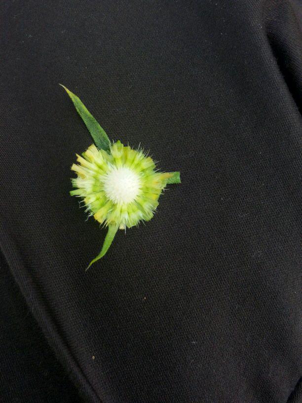 korathardik's tweet photo. Can you guess what the thing is this...?
#HD http://t.co/OhAnVDb3jK