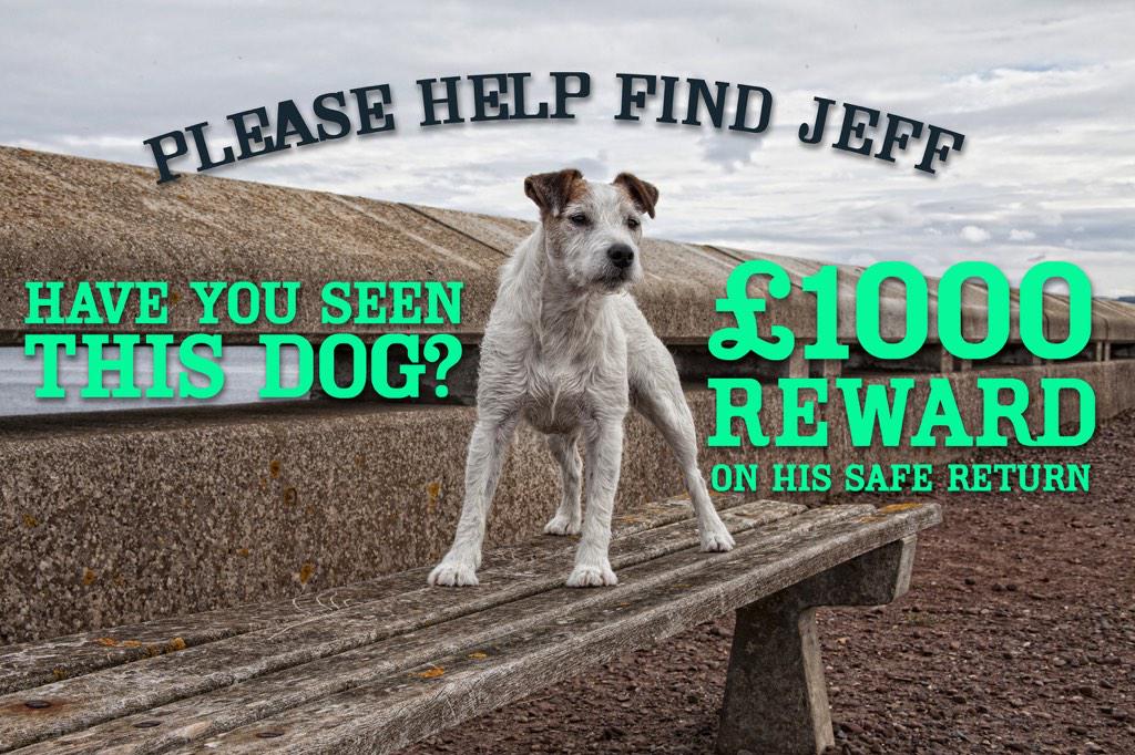 StaunchSurf's tweet photo. @Dubsy_chat broken hearted please help us get him back. FB  Jeff-reward-Scotland http://t.co/WxUySIOHUI