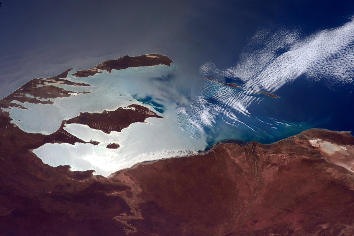 Shark Bay, Western Australia : r/australia