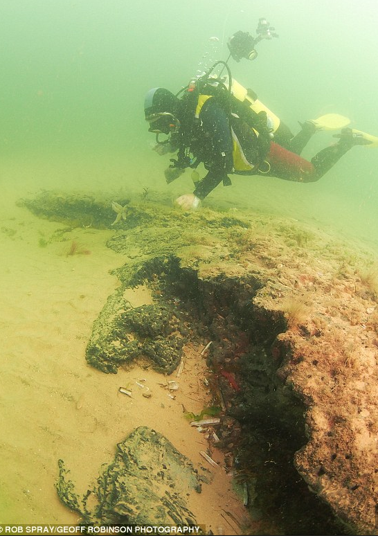 Tree News tweet media