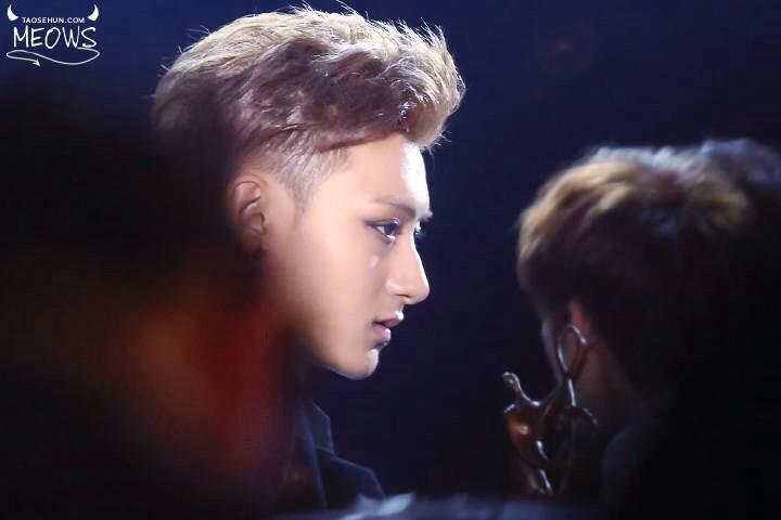 #TAO  타오야