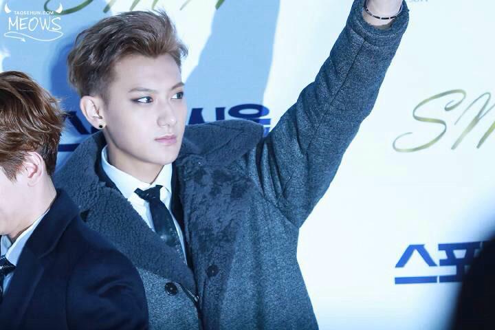 Meows2Meows's tweet photo. #TAO  타오야 http://t.co/zcq56b2Inp