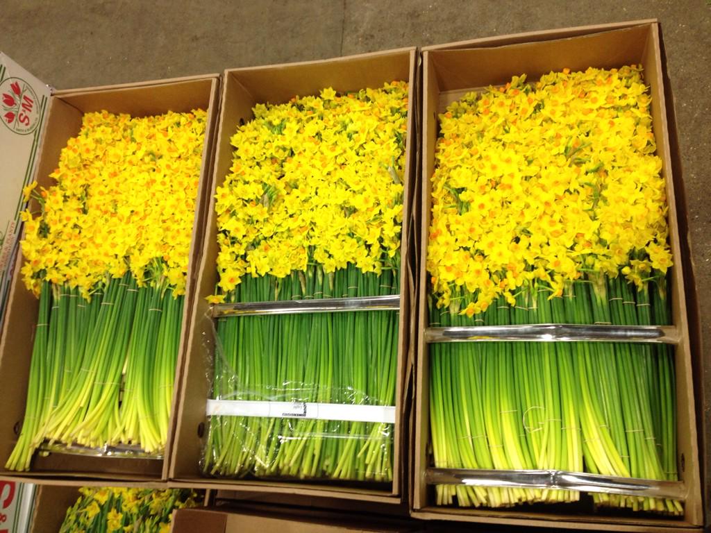 MaikoFlowers tweet picture