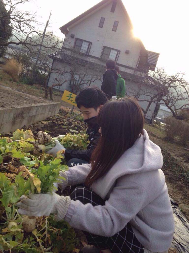 埋め込み画像への固定リンク