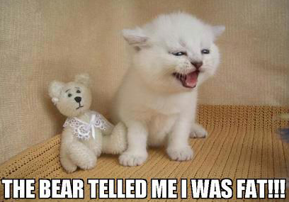 AnaBerno's tweet photo. C'est le #qioutedayplease ET la journée des #CM en même temps. Leur point en commun ? Les chatons. #lolcat http://t.co/irJdUoAwIm