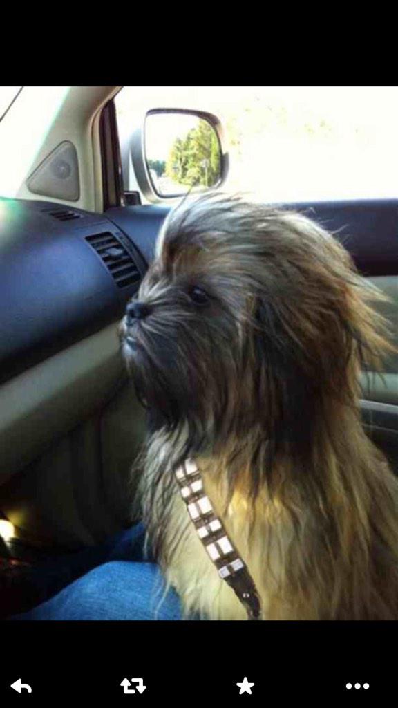 LeighFrancis's tweet photo. Can't remember who sent me this but it's ace! http://t.co/ftqkPE7Luf