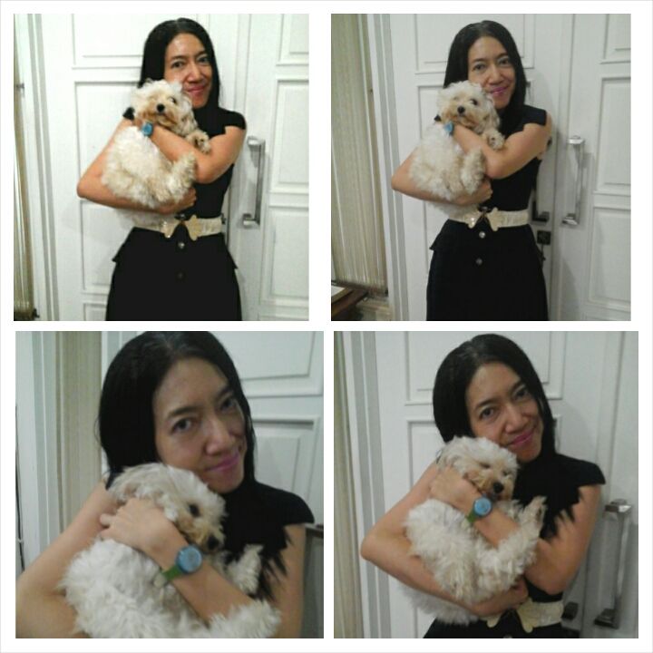 josephinesarino's tweet photo. @SwatchIndonesia I love my Swatch and my incredibly cute submissive well behaved deinty dog #MyPetAndme #MySwatch http://t.co/q7T3iGZ1lT