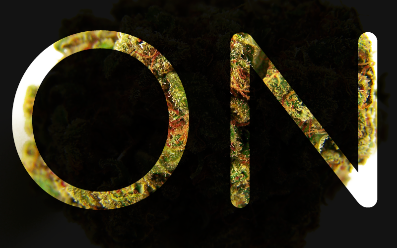 Growfighters's tweet photo. Si eres un Grow y crees que puedes vender más ¡Esto te interesa! http://t.co/cifYFp6mSf  #Cannabis http://t.co/Hduz0TFSHJ
