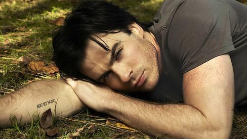 Ian Somerhalder...The most tv's cat