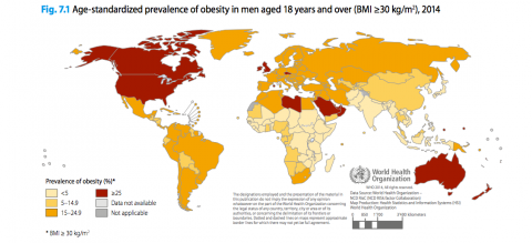 eltorotv's tweet photo. Los países con mayor y menor obesidad del mundo http://t.co/d3T5JJbxME http://t.co/c0s6teEh40