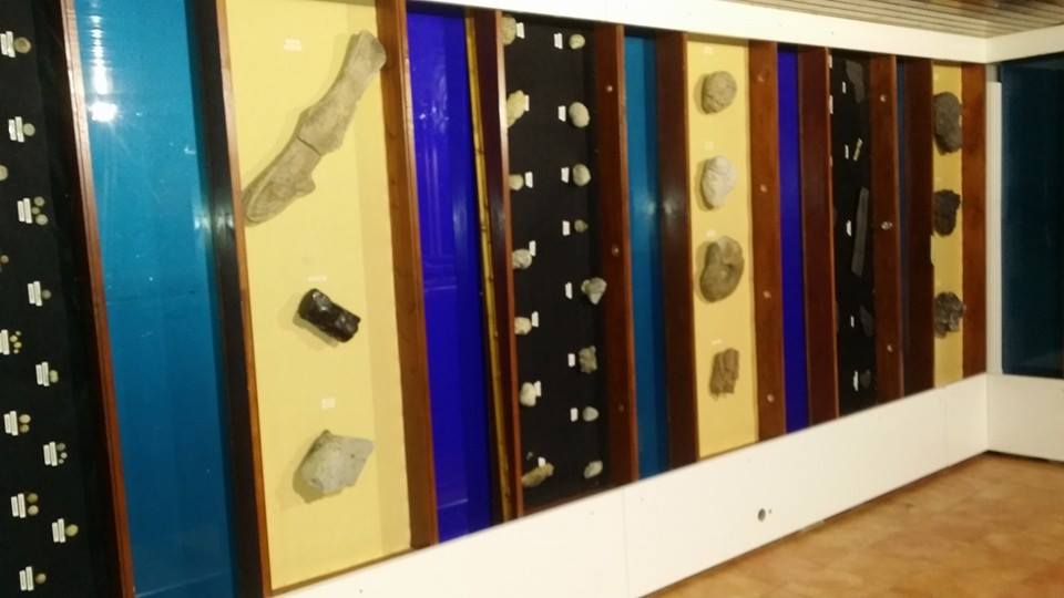 Ya queda menos para tener lista la exposición de fósiles en las nuevas instalaciones del Parque de la Vida.