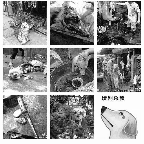 Global_hackers_'s tweet photo. Emails 4 #StopYuLin2015 https://t.co/tXsUIsU4lU
http://t.co/lxfhUrAJb8 
@FreeArturo2 @BanYULIN2015 @golin_rg  @STOPYULIN  @StopYulin2015
